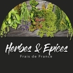 Herbes et Epices